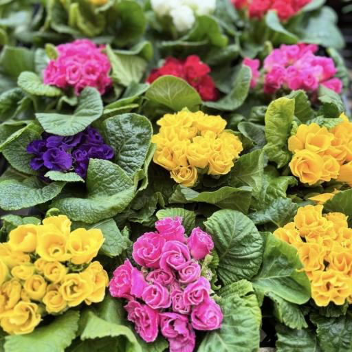 Instagramに投稿された画像