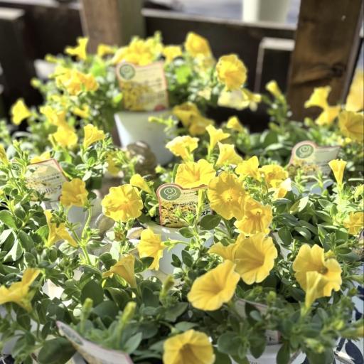 Instagramに投稿された画像