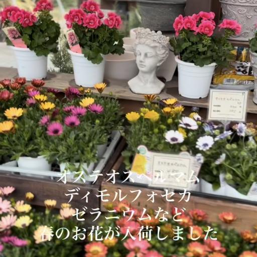 Instagramに投稿された画像