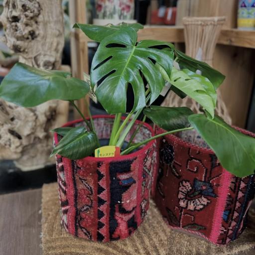 Instagramに投稿された画像