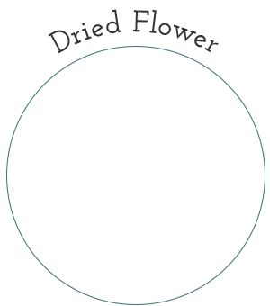 Dried Flower