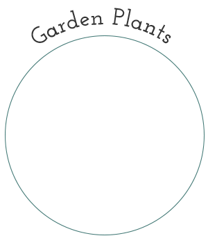 Garden Plants