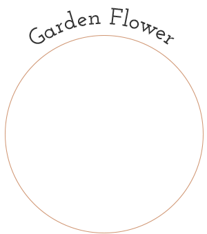 Garden Flower