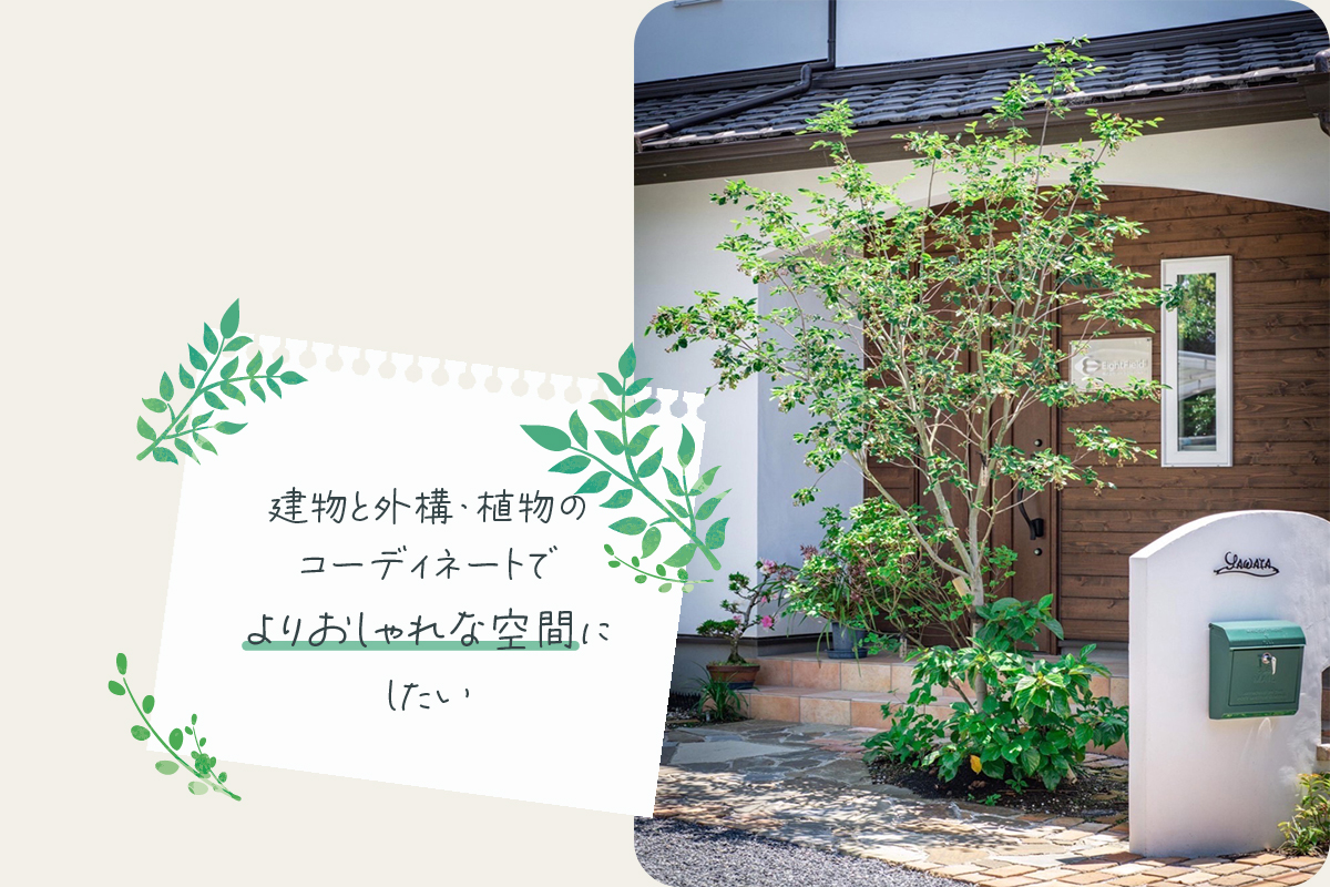 建物と外構・植物のコーディネートで、よりおしゃれな空間にしたい