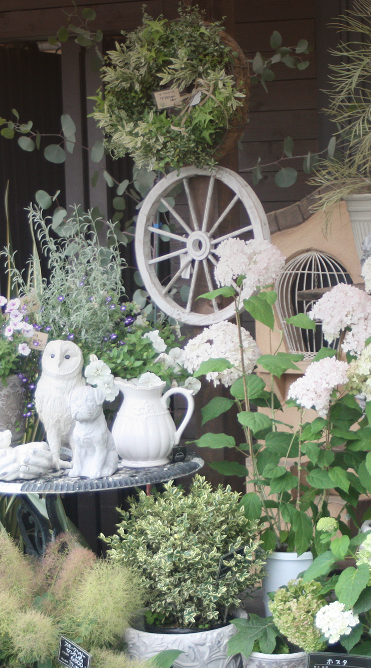 HANABOZE / GREEN ANGLE