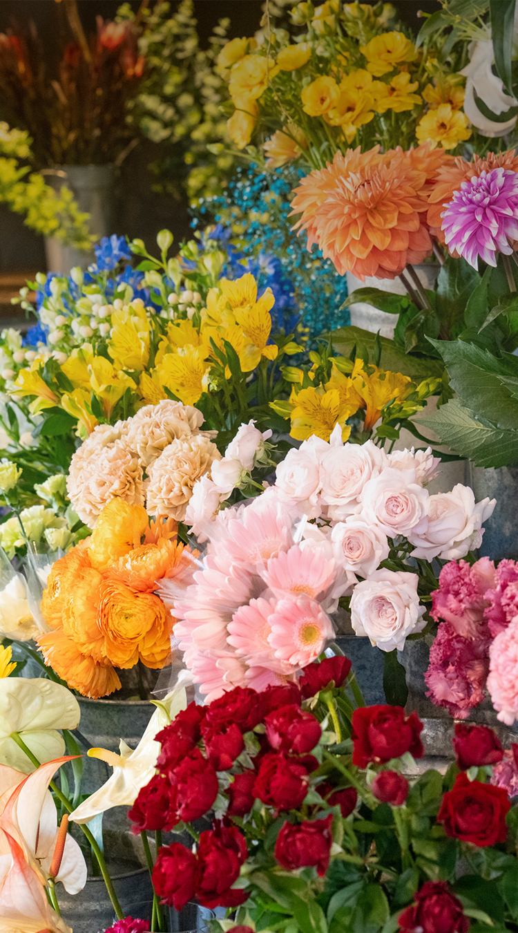 HANABOZE / GREEN ANGLE