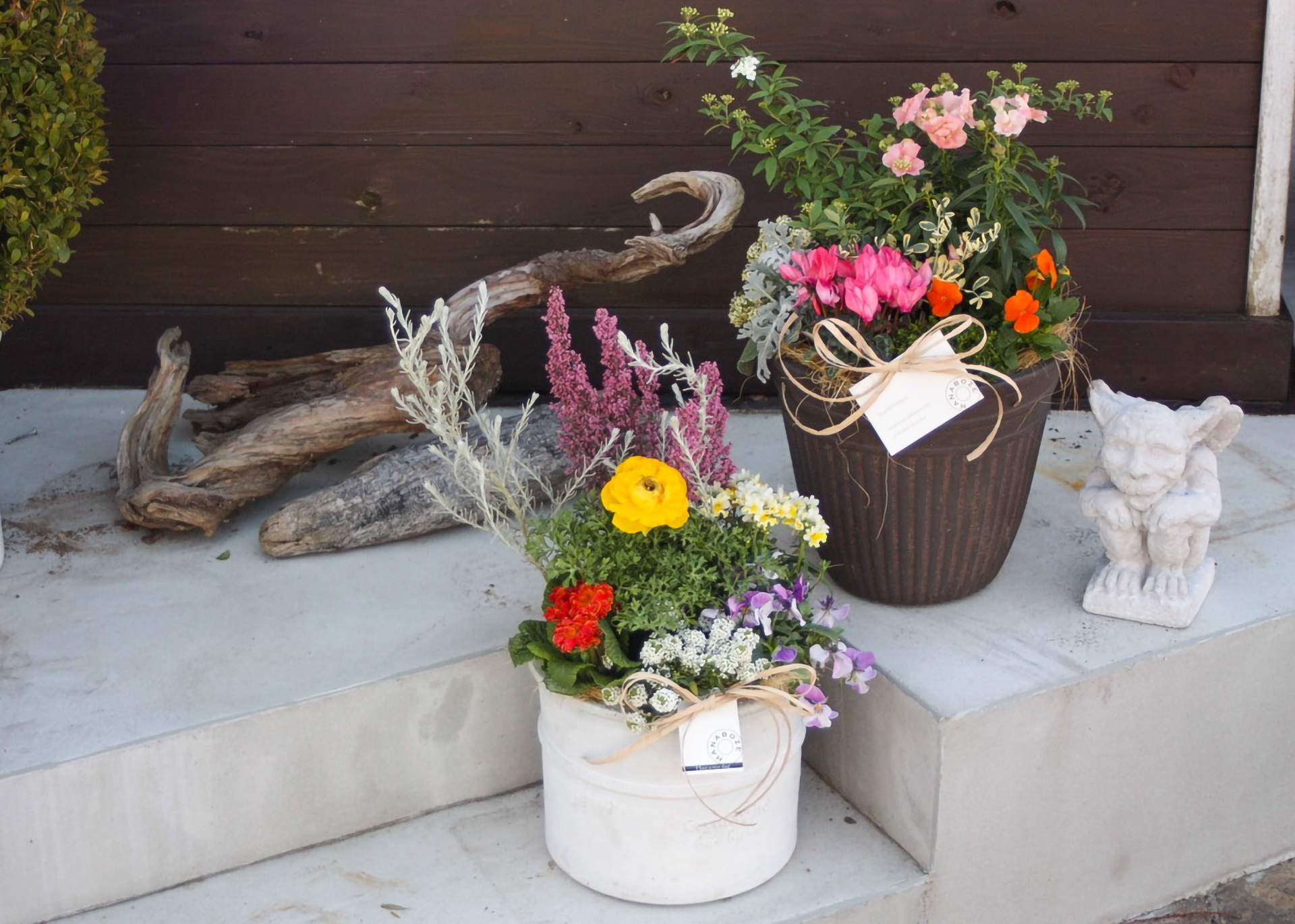 お花の定期便（寄せ植え）の商品の画像